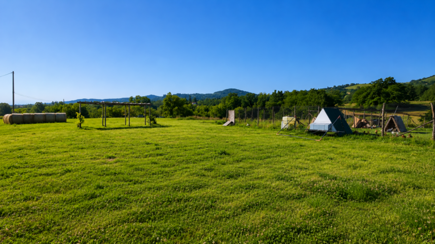 TERRENO AGRICOLO BIOLOGICO NEL VERDE DI TRAVERSETOLO