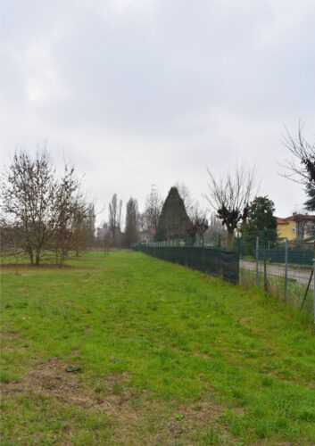 TERRENO AGRICOLO A PARMA – VENDITA FRAZIONATA POSSIBILE