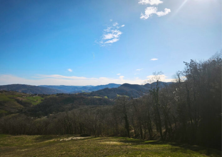 PODERE TRA LUPAZZANO E I SUGGESTIVI SENTIERI MATILDICI