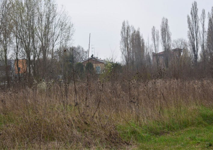 TERRENO AGRICOLO A PARMA – VENDITA FRAZIONATA POSSIBILE