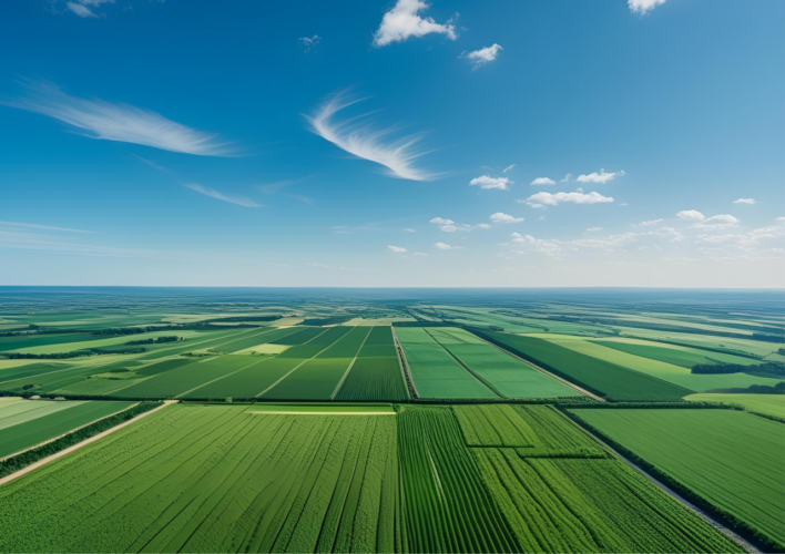 OZZANO TARO: INVESTI NELLA TERRA, OGGI.