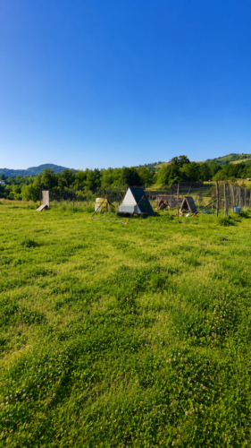 TERRENO AGRICOLO BIOLOGICO NEL VERDE DI TRAVERSETOLO
