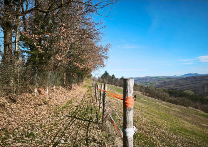 PODERE TRA LUPAZZANO E I SUGGESTIVI SENTIERI MATILDICI