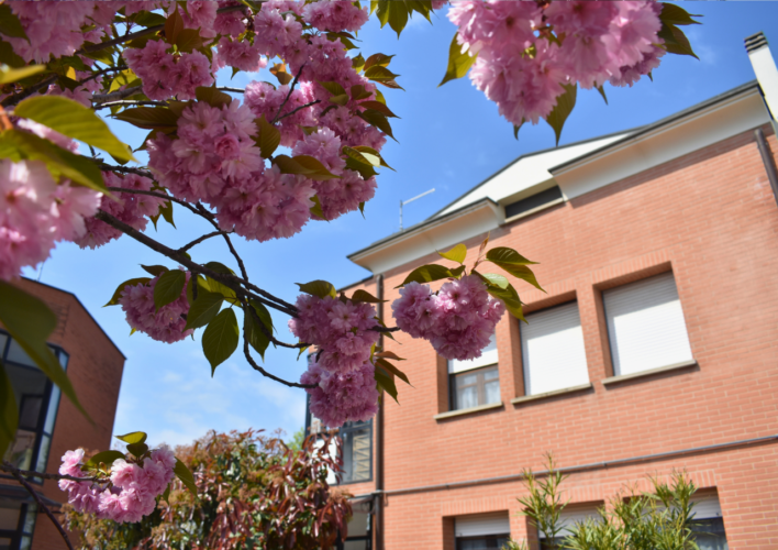 COLLECCHIO: SPLENDIDO QUADRILOCALE CON GIARDINO