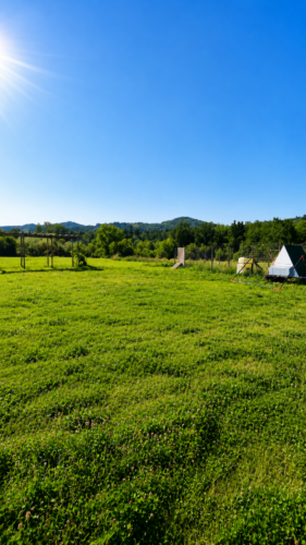 TERRENO AGRICOLO BIOLOGICO NEL VERDE DI TRAVERSETOLO