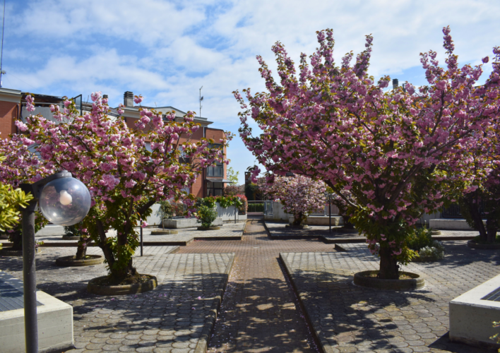 COLLECCHIO: SPLENDIDO QUADRILOCALE CON GIARDINO