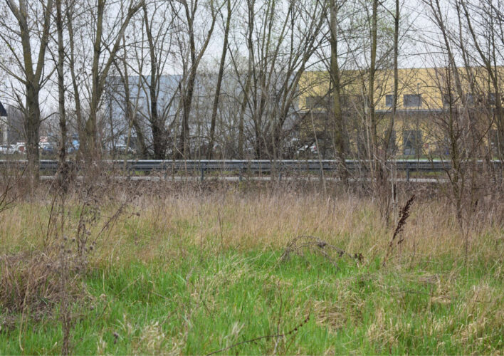 TERRENO AGRICOLO A PARMA – VENDITA FRAZIONATA POSSIBILE