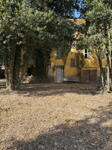 COLORNO: PALAZZO D’EPOCA CON POSSIBILITÀ DI REALIZZARE PIÙ APPARTAMENTI