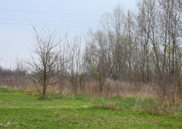 TERRENO AGRICOLO A PARMA – VENDITA FRAZIONATA POSSIBILE