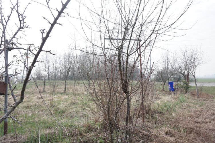 IL RUSTICO CHE TUTTI CERCANO: INDIPENDENZA, VERDE PRIVATO E LIBERTÀ DI PROGETTO