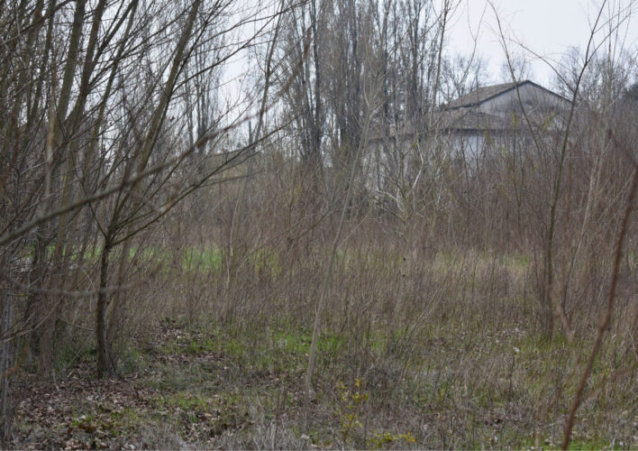 TERRENO AGRICOLO A PARMA – VENDITA FRAZIONATA POSSIBILE