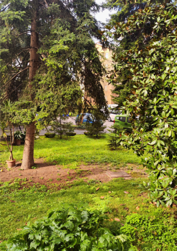 INTERNA VIA EMILIO LEPIDO: TRILOCALE RISTRUTTURATO