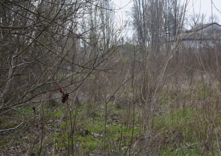 TERRENO AGRICOLO A PARMA – VENDITA FRAZIONATA POSSIBILE