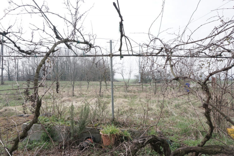IL RUSTICO CHE TUTTI CERCANO: INDIPENDENZA, VERDE PRIVATO E LIBERTÀ DI PROGETTO