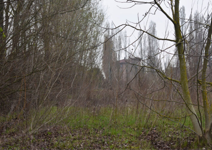 TERRENO AGRICOLO A PARMA – VENDITA FRAZIONATA POSSIBILE