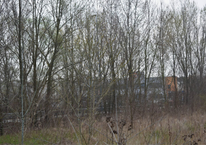 TERRENO AGRICOLO A PARMA – VENDITA FRAZIONATA POSSIBILE