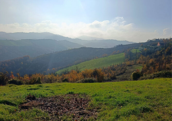 TRANQUILLITÀ, DESIGN E NATURA: LA CASA CHE PARLA DI TE