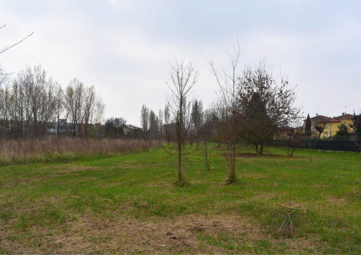 TERRENO AGRICOLO A PARMA – VENDITA FRAZIONATA POSSIBILE