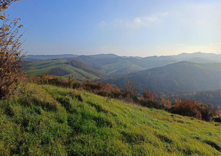 TRANQUILLITÀ, DESIGN E NATURA: LA CASA CHE PARLA DI TE