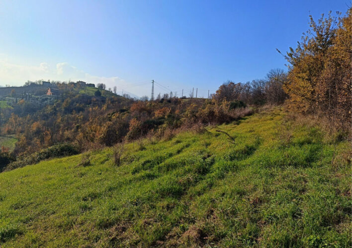 TRANQUILLITÀ, DESIGN E NATURA: LA CASA CHE PARLA DI TE