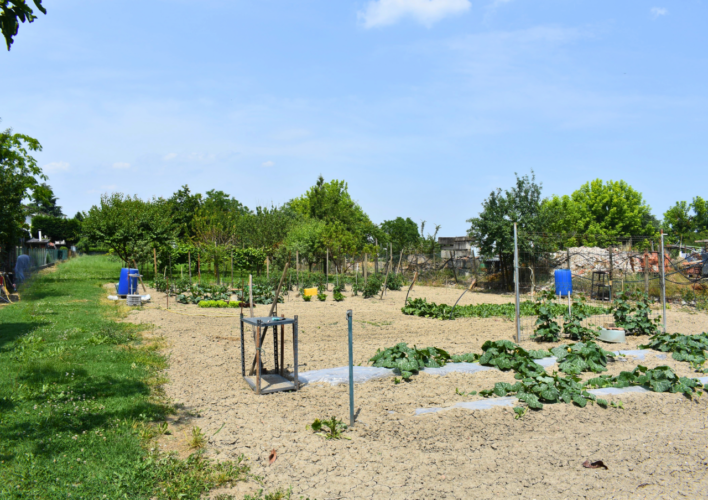 LENTIGIONE: INDIPENDENZA, SPAZIO E NATURA