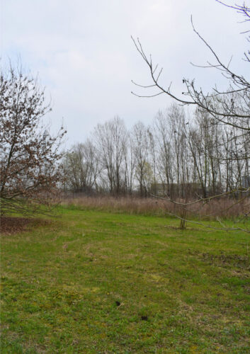 TERRENO AGRICOLO A PARMA – VENDITA FRAZIONATA POSSIBILE