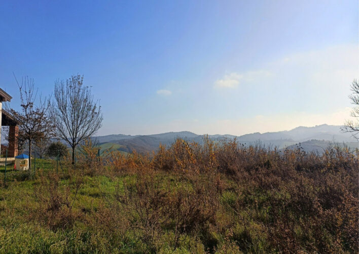 TRANQUILLITÀ, DESIGN E NATURA: LA CASA CHE PARLA DI TE