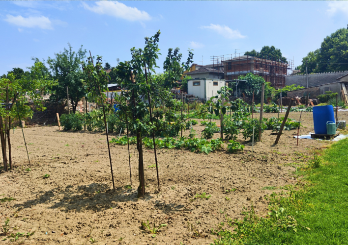 LENTIGIONE: INDIPENDENZA, SPAZIO E NATURA