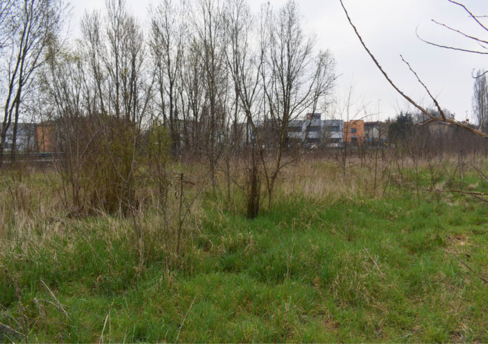 TERRENO AGRICOLO A PARMA – VENDITA FRAZIONATA POSSIBILE