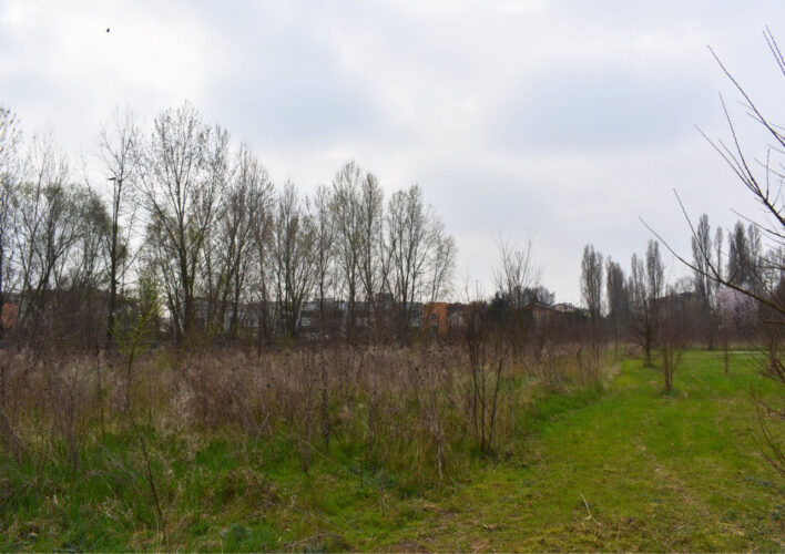 TERRENO AGRICOLO A PARMA – VENDITA FRAZIONATA POSSIBILE