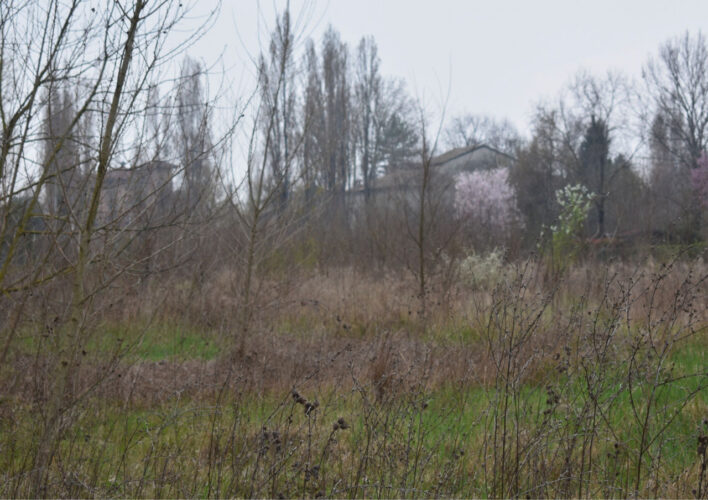 TERRENO AGRICOLO A PARMA – VENDITA FRAZIONATA POSSIBILE
