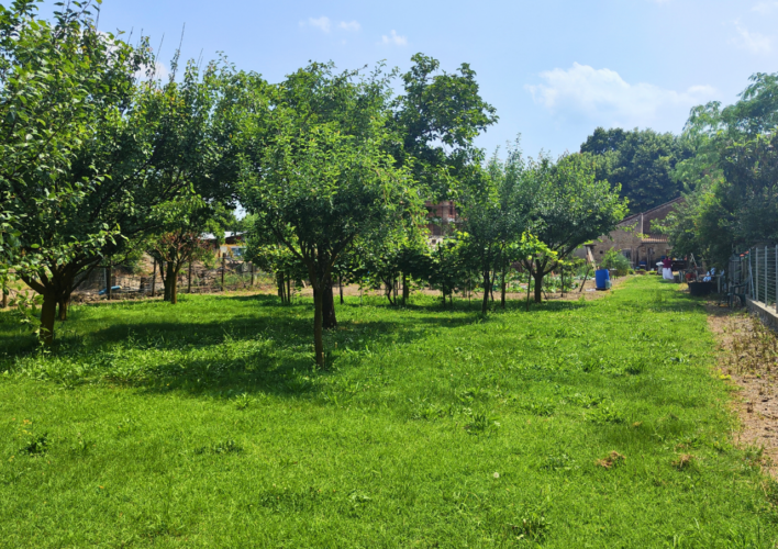 LENTIGIONE: INDIPENDENZA, SPAZIO E NATURA
