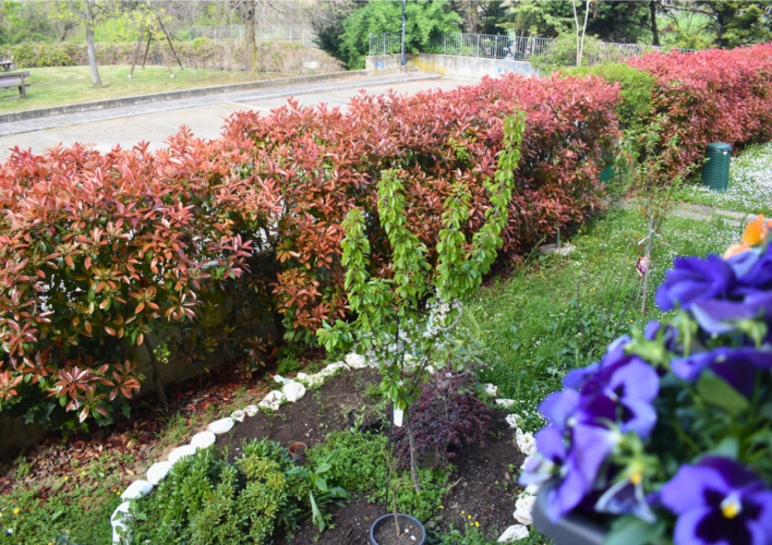 COLLECCHIO: SPLENDIDO QUADRILOCALE CON GIARDINO