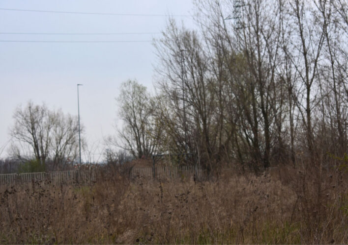 TERRENO AGRICOLO A PARMA – VENDITA FRAZIONATA POSSIBILE