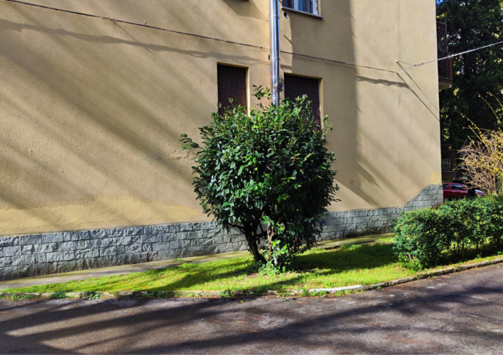 INTERNA VIA EMILIO LEPIDO: TRILOCALE RISTRUTTURATO