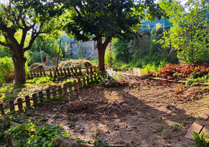 GIARDINO PRIVATO E INDIPENDENZA: L’OCCASIONE CHE CERCHI A LANGHIRANO