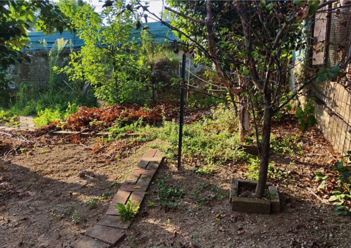 GIARDINO PRIVATO E INDIPENDENZA: L’OCCASIONE CHE CERCHI A LANGHIRANO