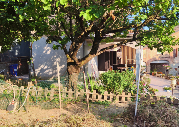 GIARDINO PRIVATO E INDIPENDENZA: L’OCCASIONE CHE CERCHI A LANGHIRANO