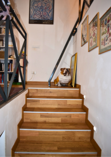 MODERNO LOFT IN CENTRO A PARMA