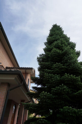 SPAZIO, COMFORT E TRANQUILLITÀ NEL CUORE DI COLORNO