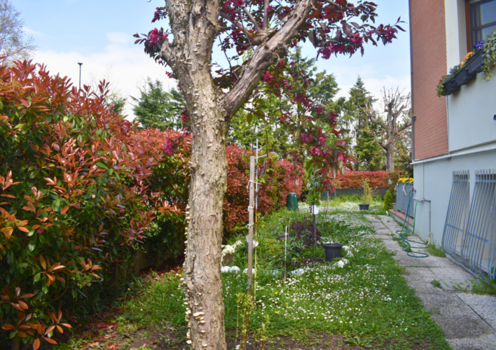 COLLECCHIO: SPLENDIDO QUADRILOCALE CON GIARDINO