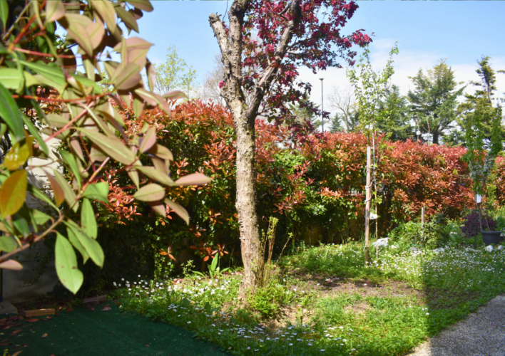 COLLECCHIO: SPLENDIDO QUADRILOCALE CON GIARDINO